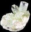 Bargain Zoned Apophyllite Crystal - India (Repaired) #44352-1